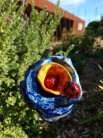 Apr&egrave;s les vendanges, un &eacute;v&eacute;nement automnal incontournable dans la Vall&eacute;e de l'H&eacute;rault