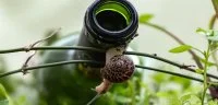 La F&ecirc;te de la Nature en Vall&eacute;e de l'H&eacute;rault