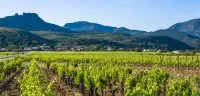 Vue sur le village de Saint-Saturnin-de-Lucian