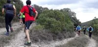 Course trail, Arboras, Vinotrail