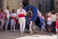 F&ecirc;te de l'&acirc;ne &agrave; Gignacn animal tot&eacute;mique
