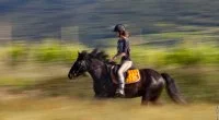 Equitation en vall&eacute;e de l'H&eacute;rault