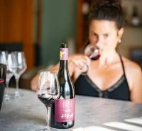 D&eacute;couverte vignerons