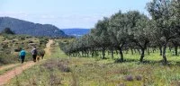 Balades en Vall&eacute;e de l'H&eacute;rault