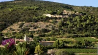 Entre m&eacute;moire des pierres et savoir-faire vigneron