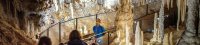 Grotte de Clamouse © Vincent Bartoli - CCVH Grotte de Clamouse