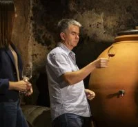 Domaine viticole, clos de l'Amandaie, Aumelas, visite de chais et d&eacute;gustations