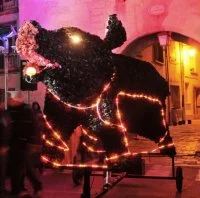 Cochon noir de Saint Andr&eacute; de Sangonis