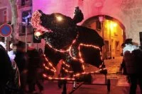 Cochon noir de Saint Andr&eacute; de Sangonis