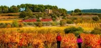 Apr&egrave;s les vendanges, un &eacute;v&eacute;nement automnal incontournable dans le cadre de la Passa Meridia
