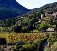 Village d'Arboras, vue sur le ch&acirc;teau