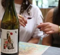 Vinotheque degustation