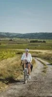 A v&eacute;lo dans les chemins de vigne, sud de la vall&eacute;e de l'H&eacute;rault