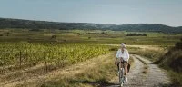 A v&eacute;lo dans les chemins de vigne, sud de la vall&eacute;e de l'H&eacute;rault