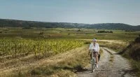 A v&eacute;lo dans les chemins de vigne, sud de la vall&eacute;e de l'H&eacute;rault