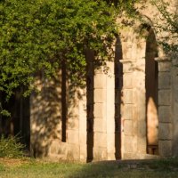 Jardin abbaye d'Aniane