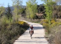 Piste cyclable 11 Piste cyclable 11
