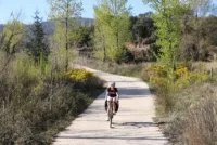 Piste cyclable 11