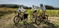 Cyclistes sur les chemins de vigne en vall&eacute;e de l'H&eacute;rault