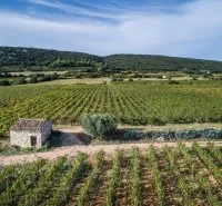 Vignobles & D&eacute;couvertes