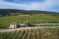 Vignobles & D&eacute;couvertes