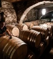 Vins et terroir