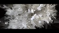 youtube-M94AGxqdZbA-1577232539859982-1770008579