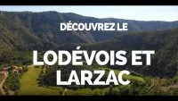 youtube-qo7UYcTJcY4-303834682681271-1768735174
