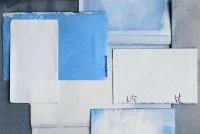 Cyanotype &copy; Magnific