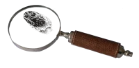 bluebudgie-magnifying-2681372 &copy; Pixabay