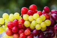 grapes-geab062121_1280 &copy; pixabay