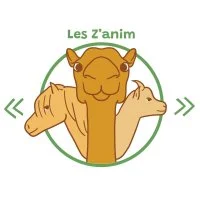 Les z'animo &copy; @Les Z'anim"o"