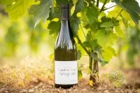 cuv&eacute;e cantaluz &copy; Vincent Bartoli