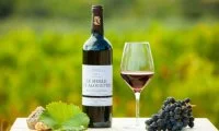 Vin Alain Chabanon &copy; Domaine Alain Chababnon
