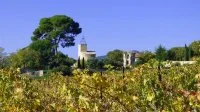 Vignobles_de_Montpeyroux_-_E_Brendle4 &copy;Eric Brendle - ADT34