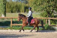 IMG_4928 © @Centre Equestre des 3 fontaines