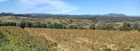 Planavi&eacute; nov 23 &copy; Domaine de Perpreze