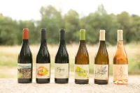 vins-flobusch &copy; Domaine Flo Busch