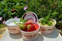 sorbets3 &copy; Le champ des sorbets