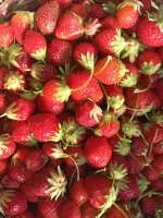 fraise &copy; Le champ des sorbets