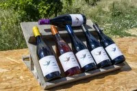 masdescolibris-vins-02 &copy; Mas des colibris