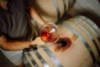 3&copy;-Vincent-Bartoli &copy; Vincent Bartoli