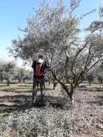 La Terre des Fieux &copy; La Terre des Fieux