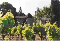 Domaine de Rieussec &copy; Domaine de Rieussec