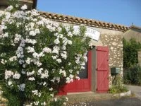 2019-domaine-de-l-aigueliere-montpeyroux-caveau-aigueliere &copy; domaine de l'aigueliere montpeyroux