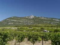 domaine des grécaux (2) © domaine des grécaux