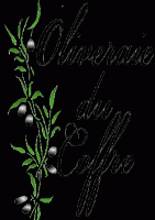 oliveraie du coffre © oliveraie du coffre