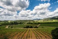 mas des quernes &copy; mas des quernes