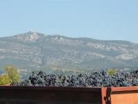 mas des ar&ocirc;mes montpeyroux PIC &copy; mas des ar&ocirc;mes montpeyroux