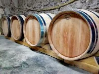 alexis vialettes - domaine des 3 sens (2) &copy; Vitinova